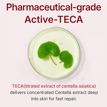 ✨Time Reverse Advanced Rapid-Absorbing Nourishing Cream