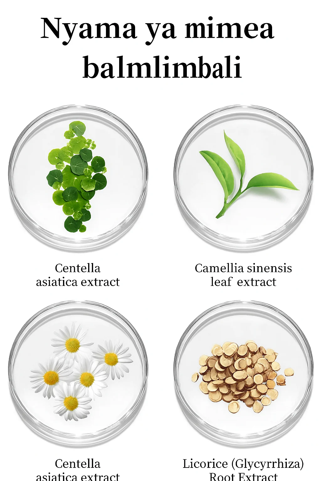 Anti-aging Face Cream